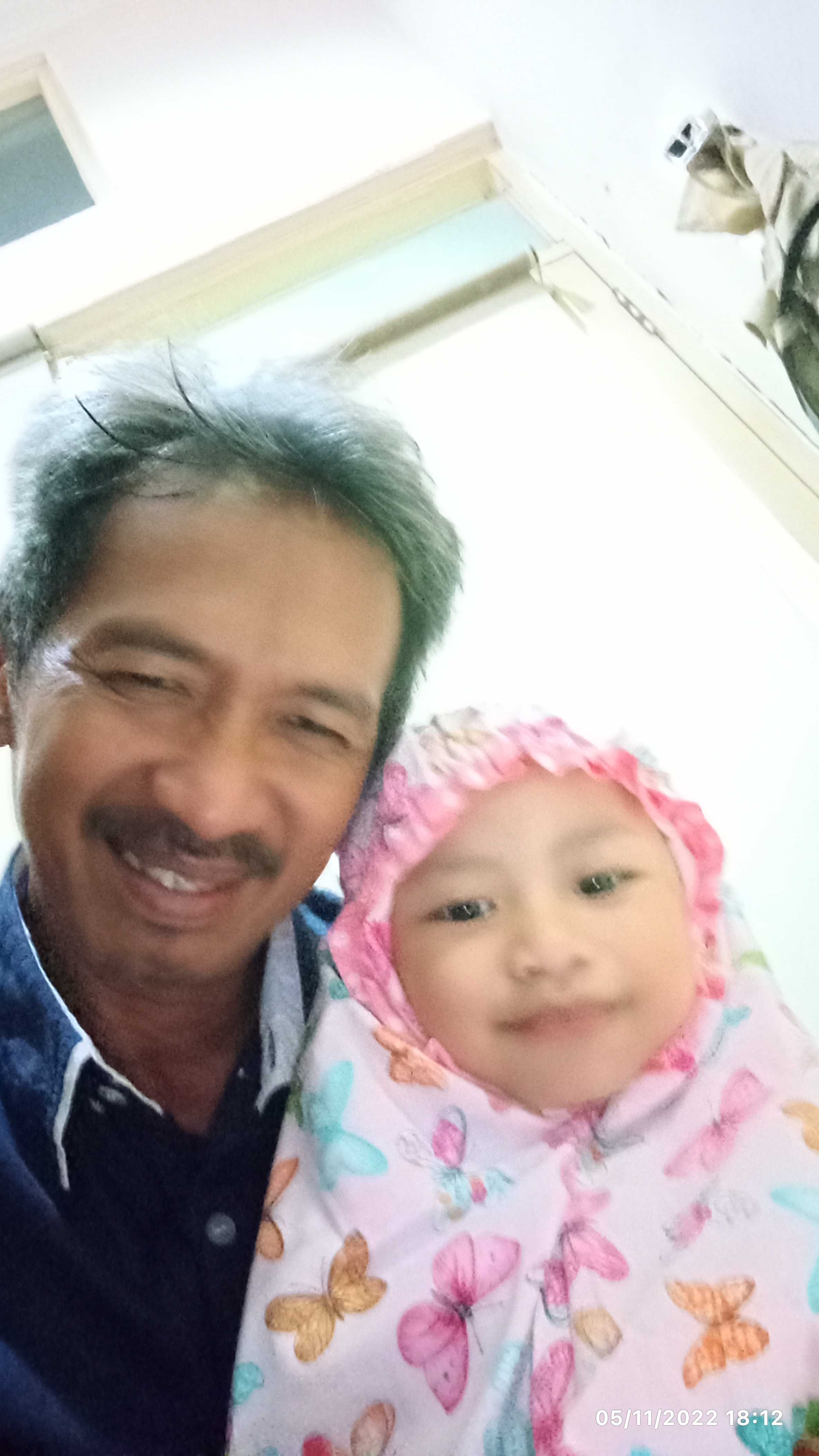 Hadi S Wijaya