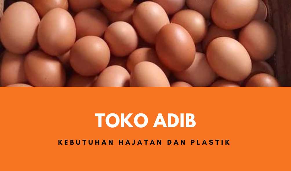 Toko Adib