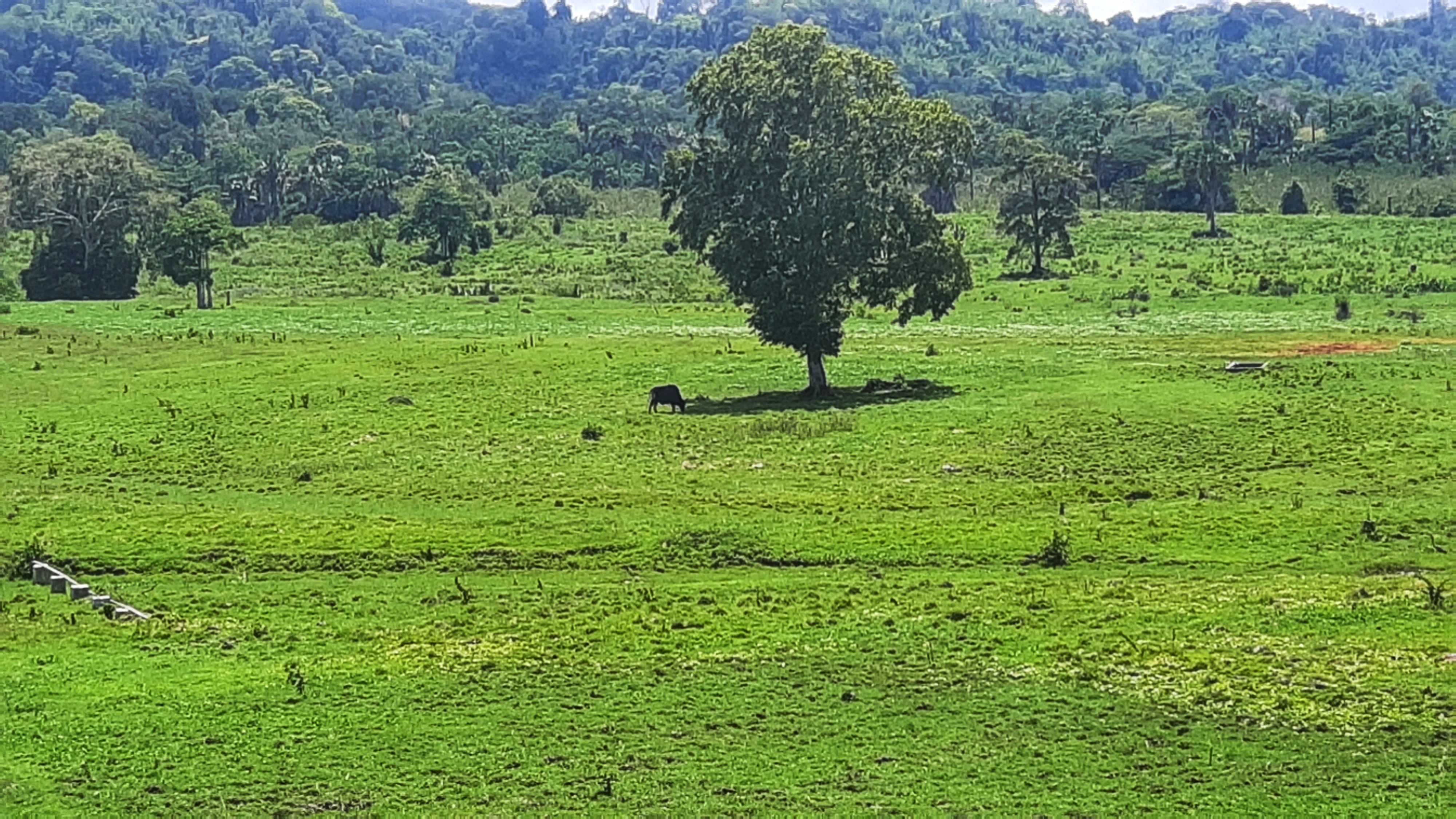 Ruri Andika Surya Partama