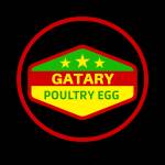 Gatary Poultry Egg