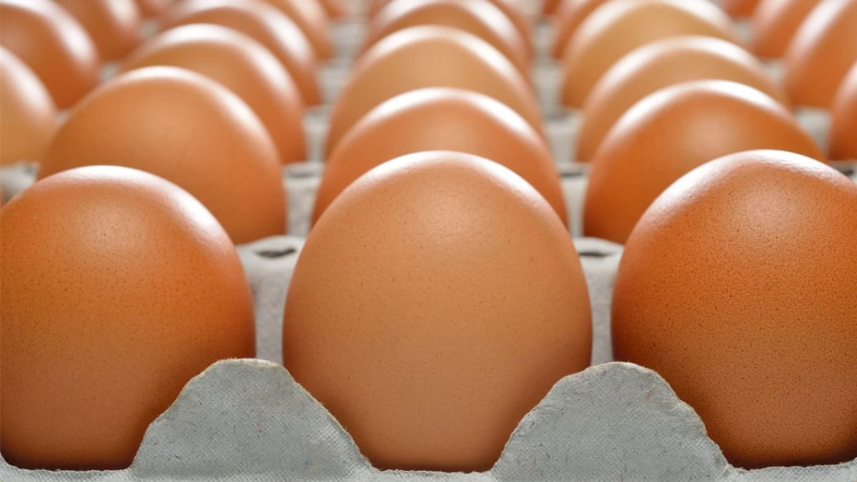 Singapore to start importing eggs from Indonesia - CNA