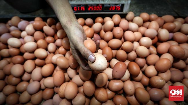 Pemerintah Tambah Ayam dan Telur dalam Bansos September-November