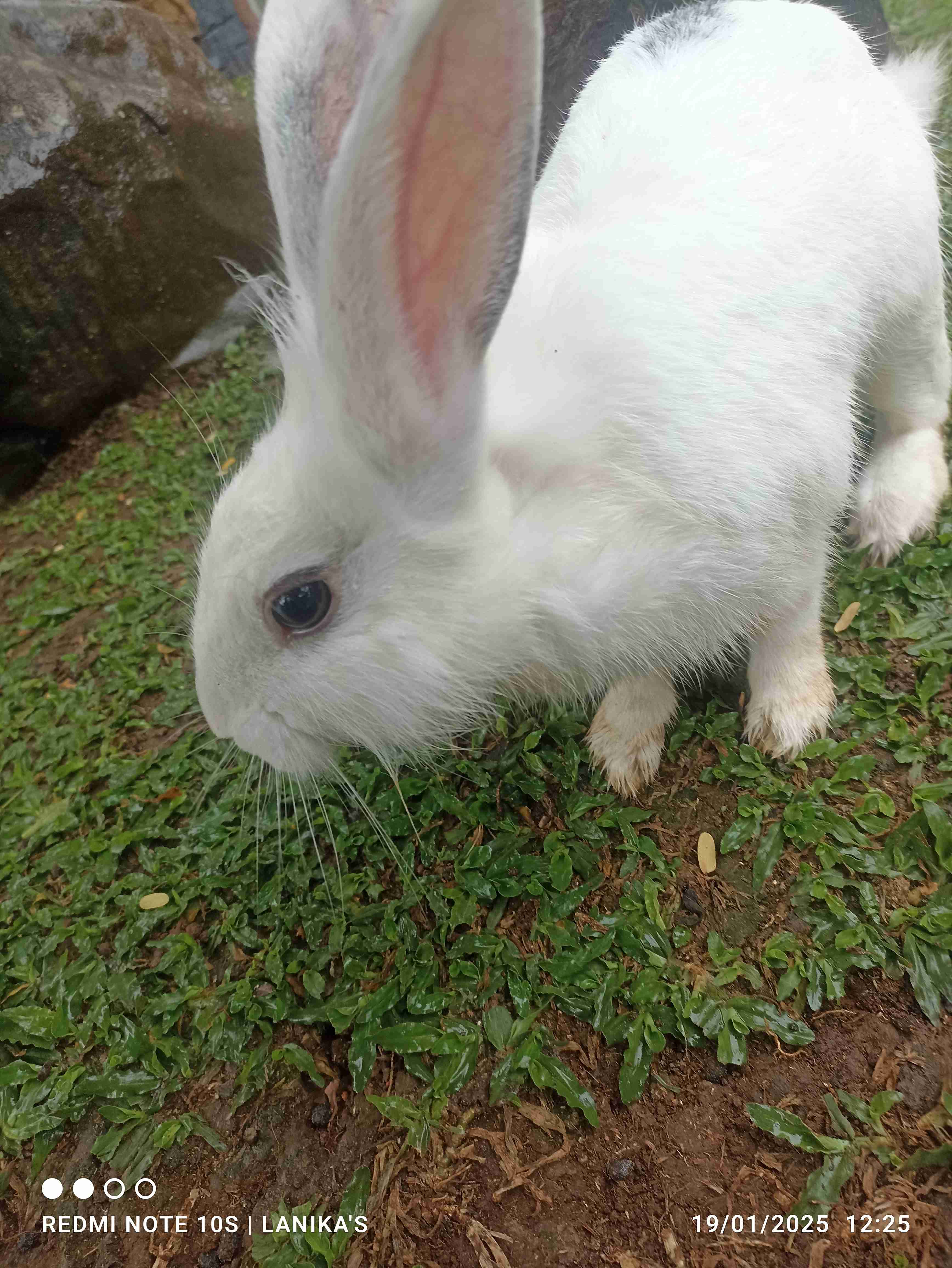Egga Prasetyo