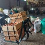 Tiyoga Prasetyo