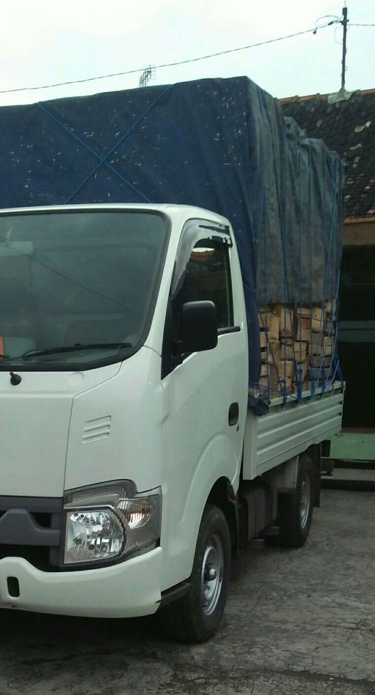 Didin Telor
