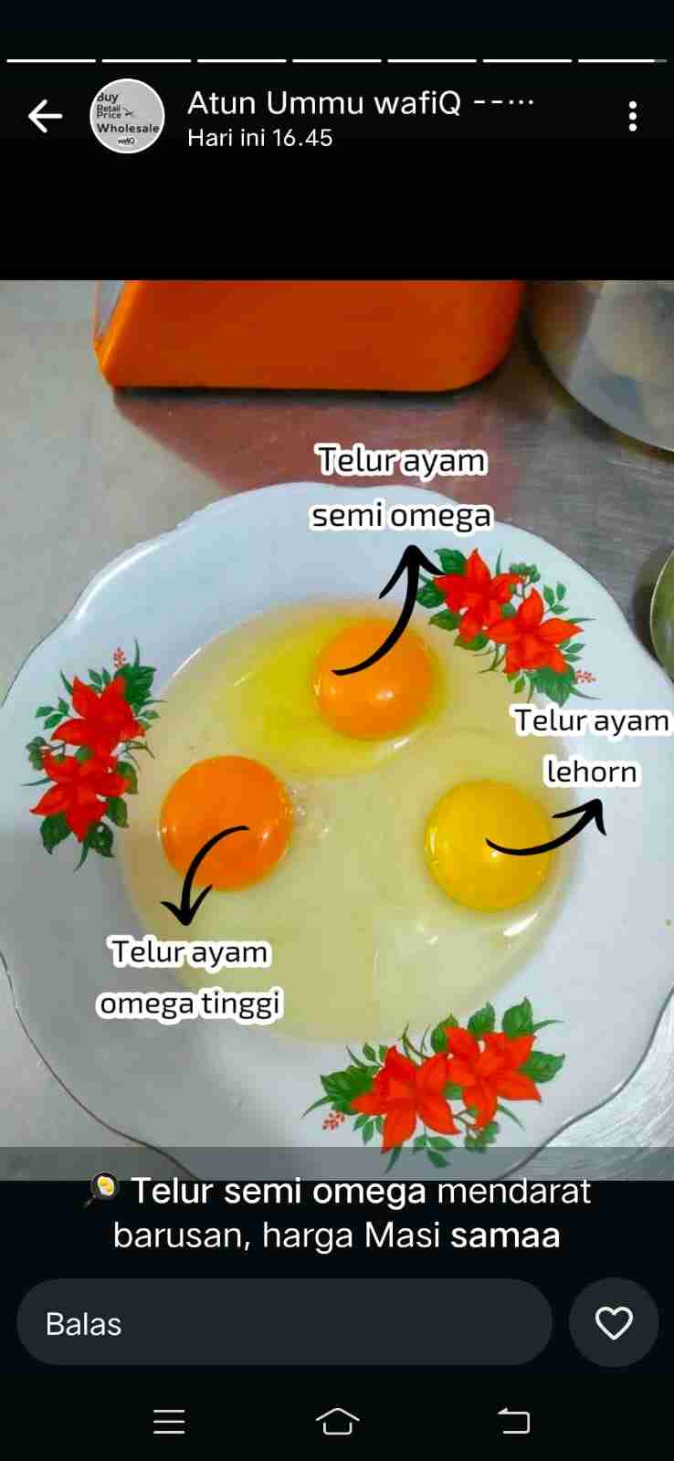 Agen telur Putri unggul