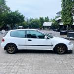 monica_garasi_telur