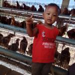 Purwanto Purwanto Sastropurwanto