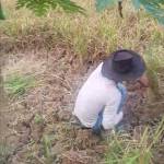 Andisuciono Kebumen