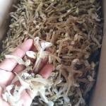 atobi supply Grow