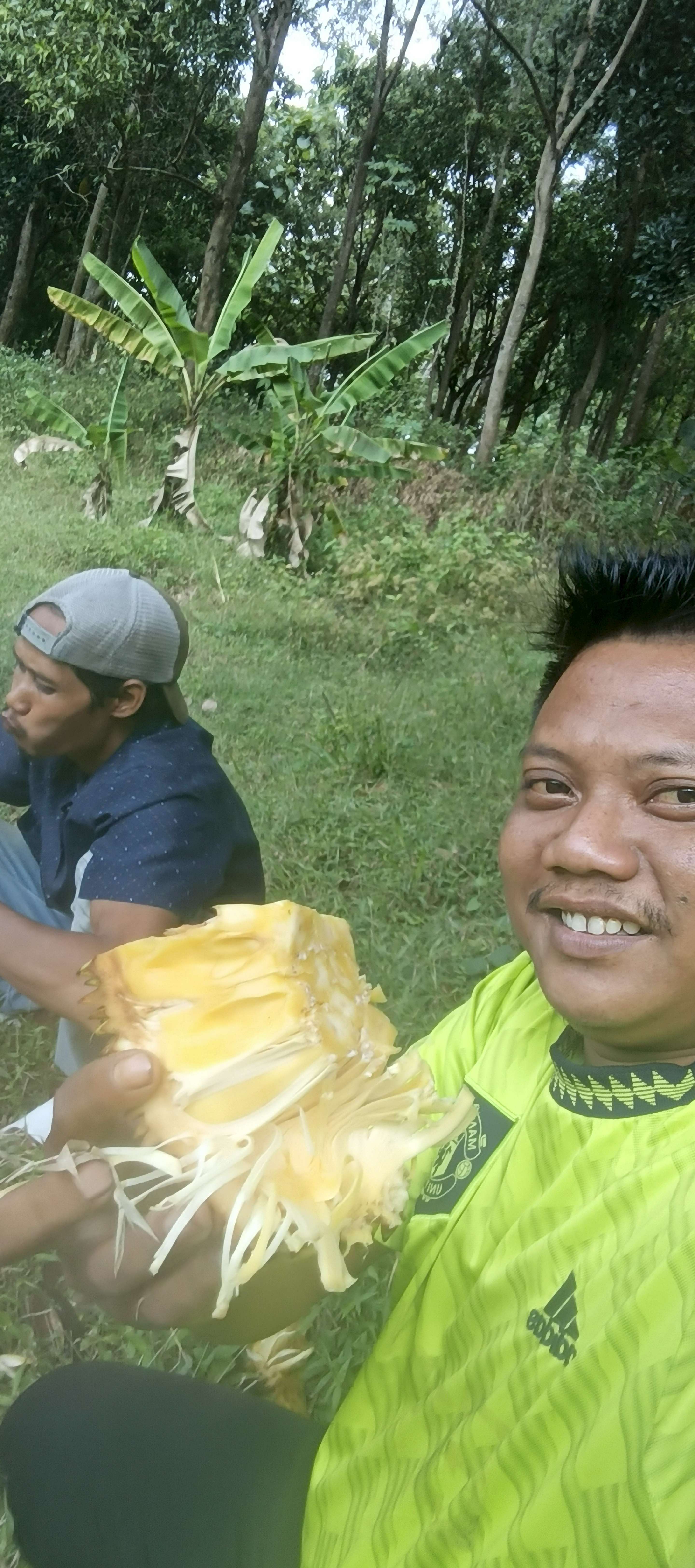 Iis kiswanto Bois