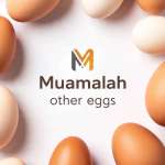 Muamalah eggs Rahman