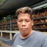 Saiful Chasani