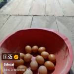 Dedi 123 Dedi family