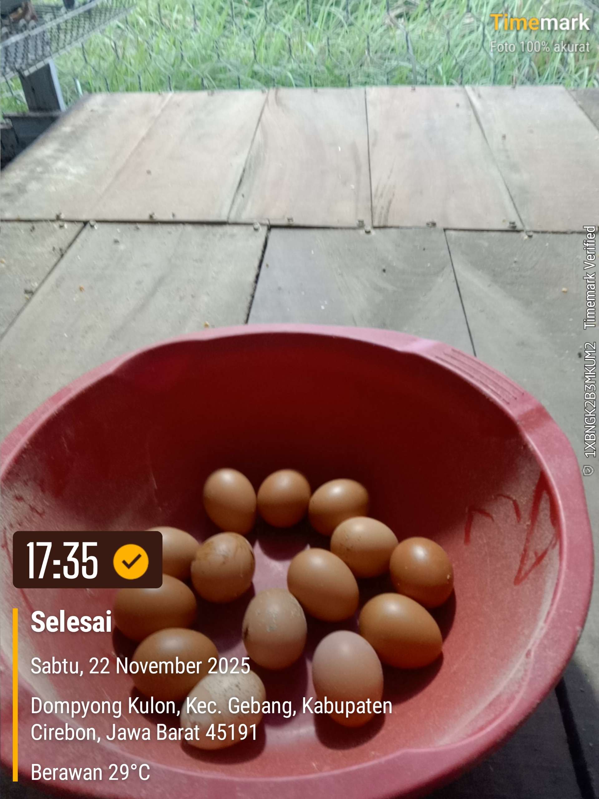 Dedi 123 Dedi family