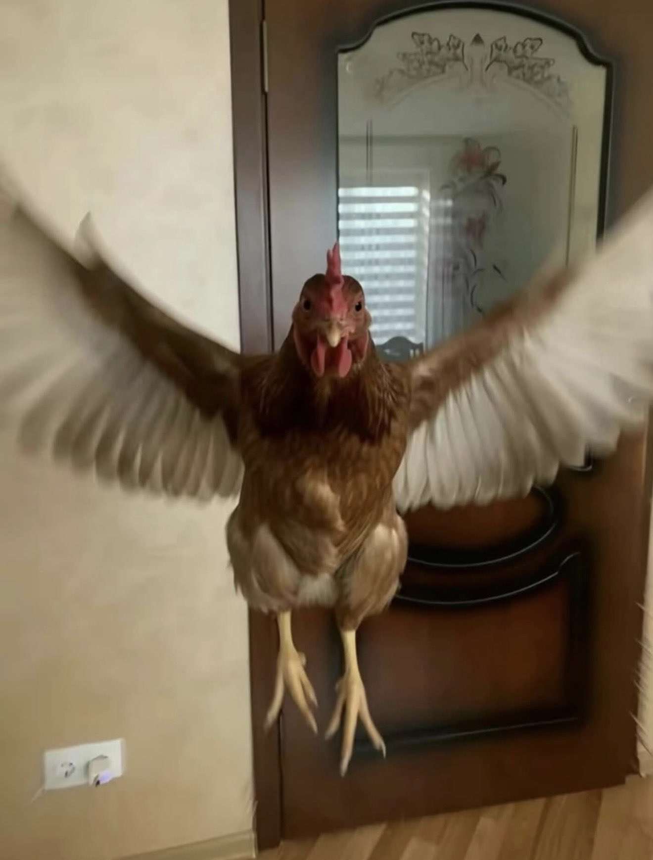 Arif Fahrurrozi Arif