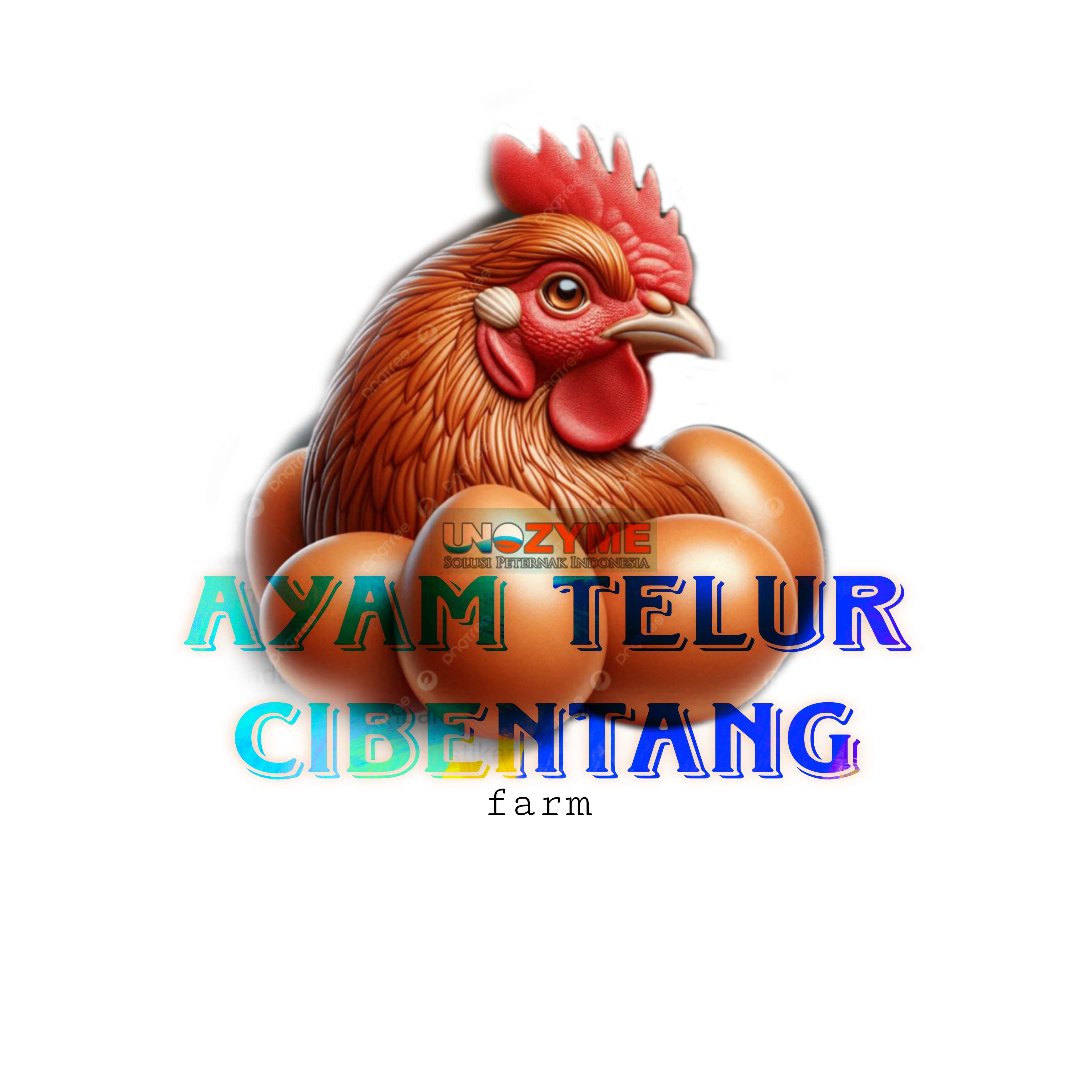 Muhamad Sabillah Galang