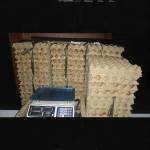 Geffiegg Geffiegg fam