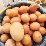 BUMDesa Singaperbangsa Manggungjaya