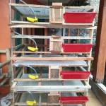 Haris Boby 024 Family farm