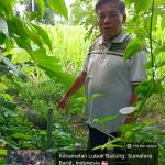 Muhammad Ikhsan Sanjaya