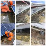 TelurNekat Alfarizky