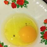 Pratama Swastika Nusantara