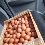 Fahrul Dwi Agustian fahrul