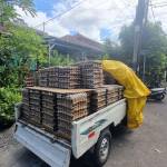 moch faried Alchabib