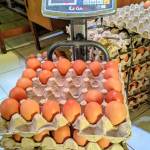 Joni Prasetiyo Jp_farm