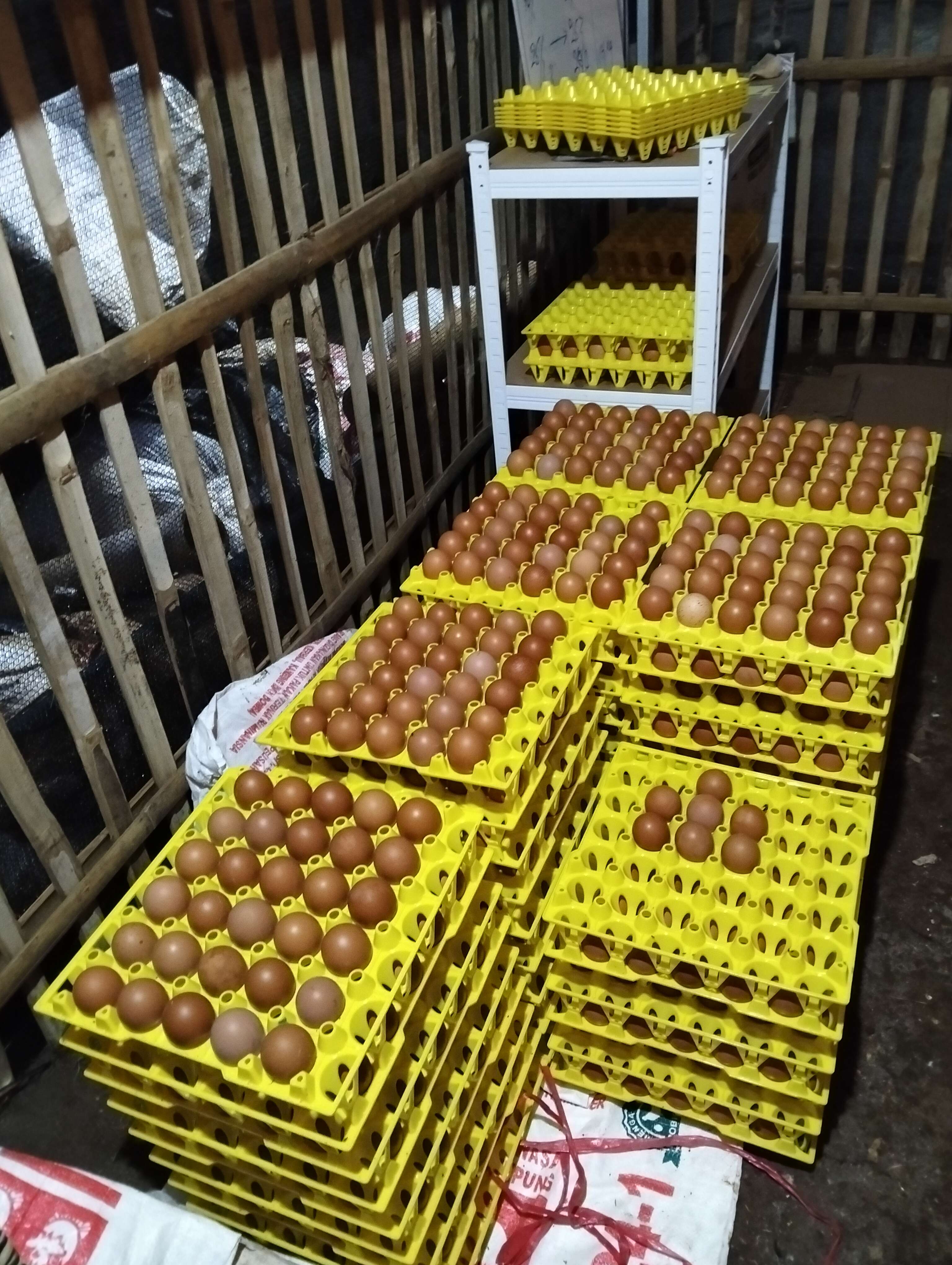 Najib Herdiana Pasir batu