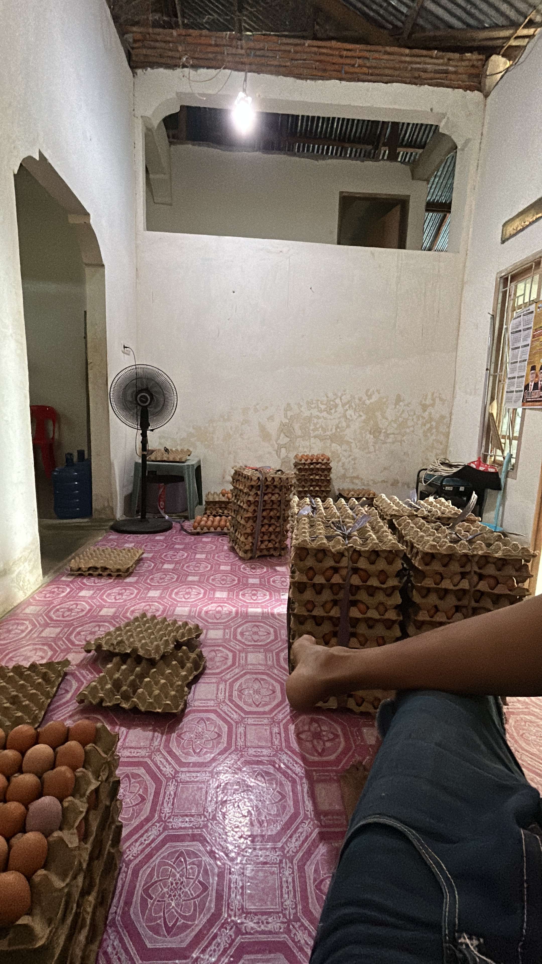 Asyraf Rahmat Rahmat farm