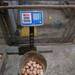 Aktsar Yusuf Eswahyudi