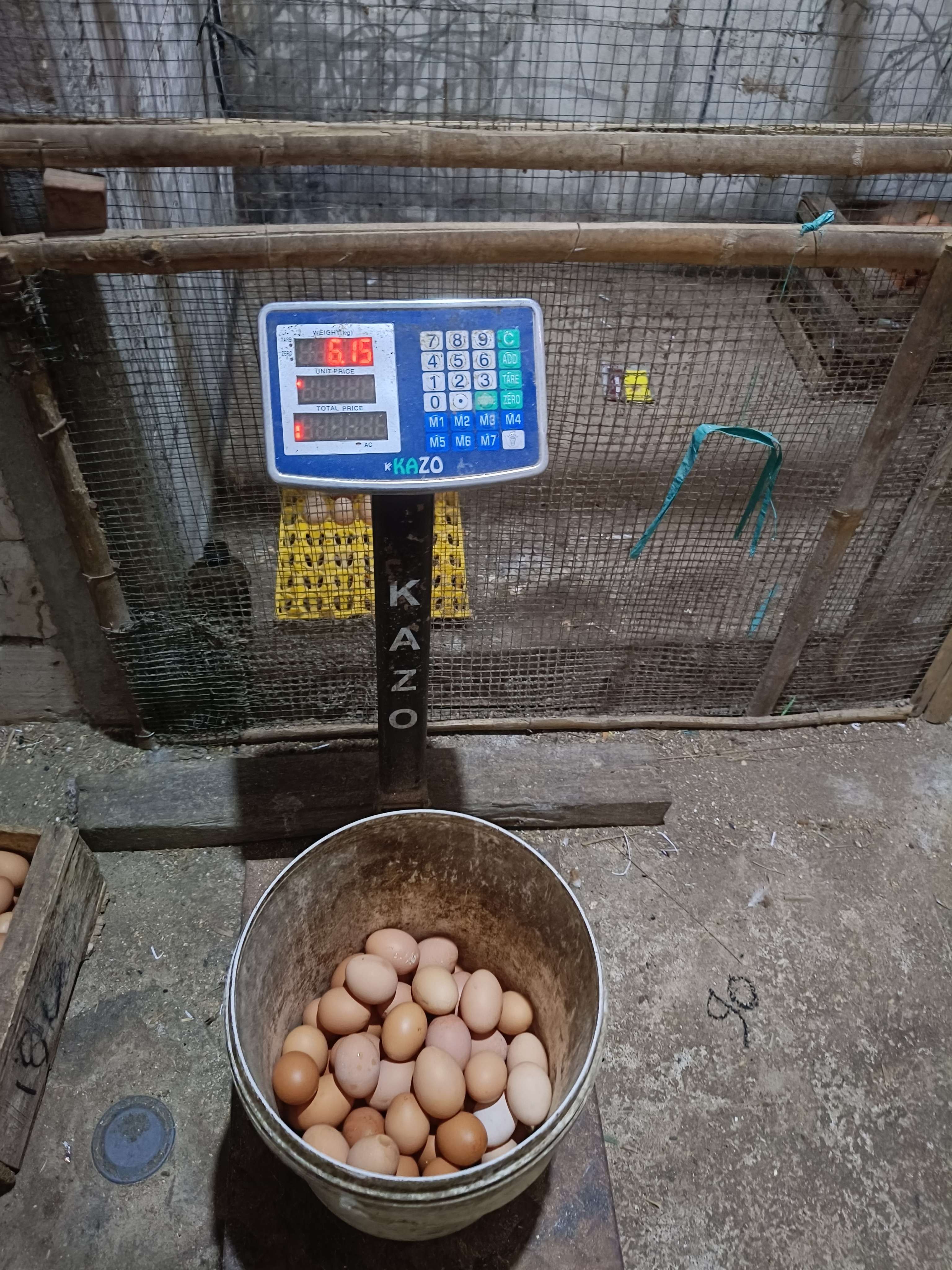 Aktsar Yusuf Eswahyudi