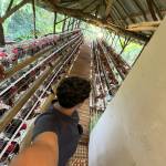 355 Hanif Fauzan Hanif