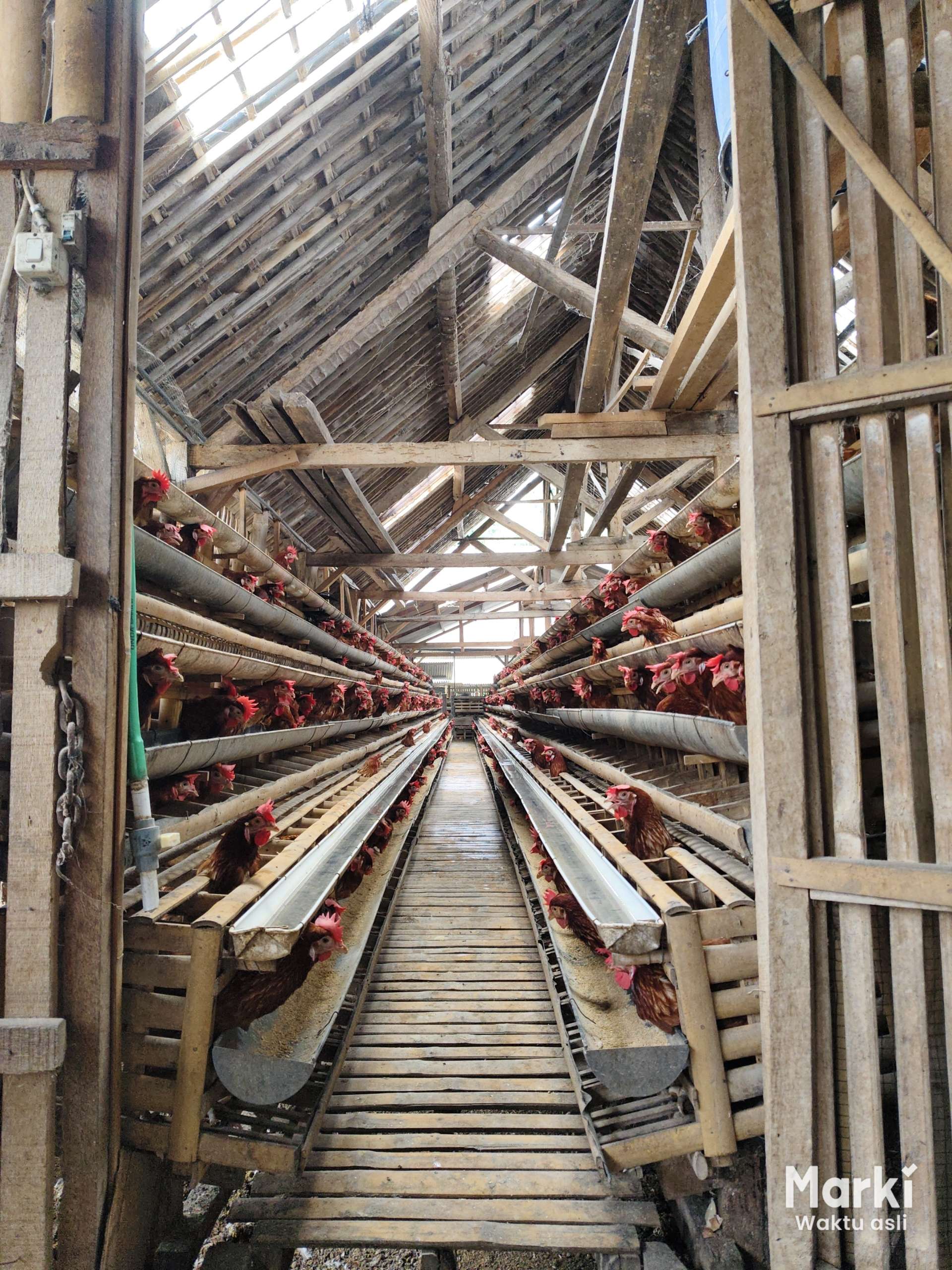 Afin Ardiansyah Afin