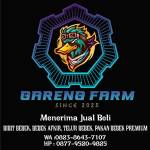 Rengga Rengga agusti