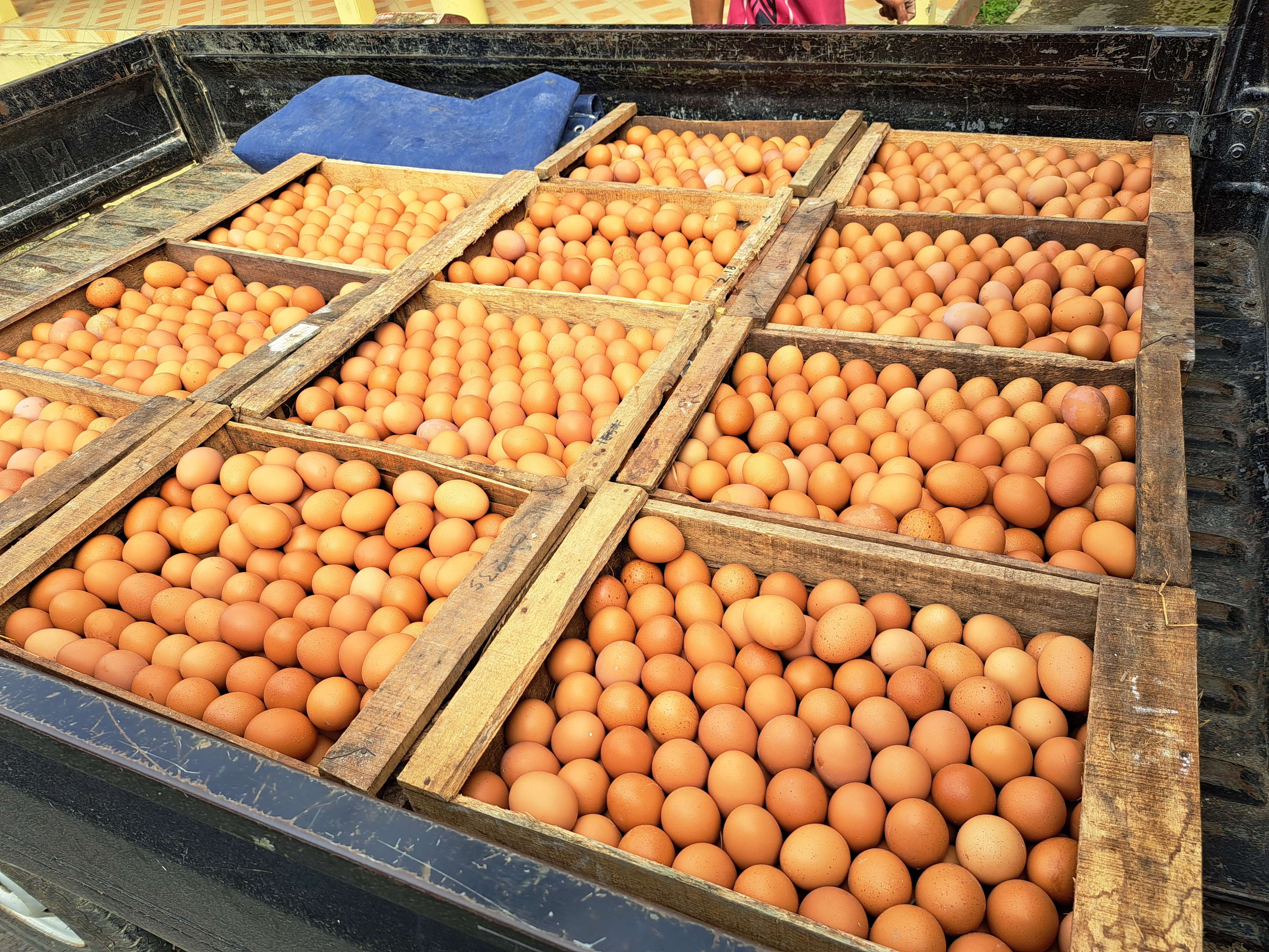 Aldii Saputra Aldhi saputra