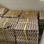 Iqbal_Telur Puyuh Farm_Bandung Iqbal