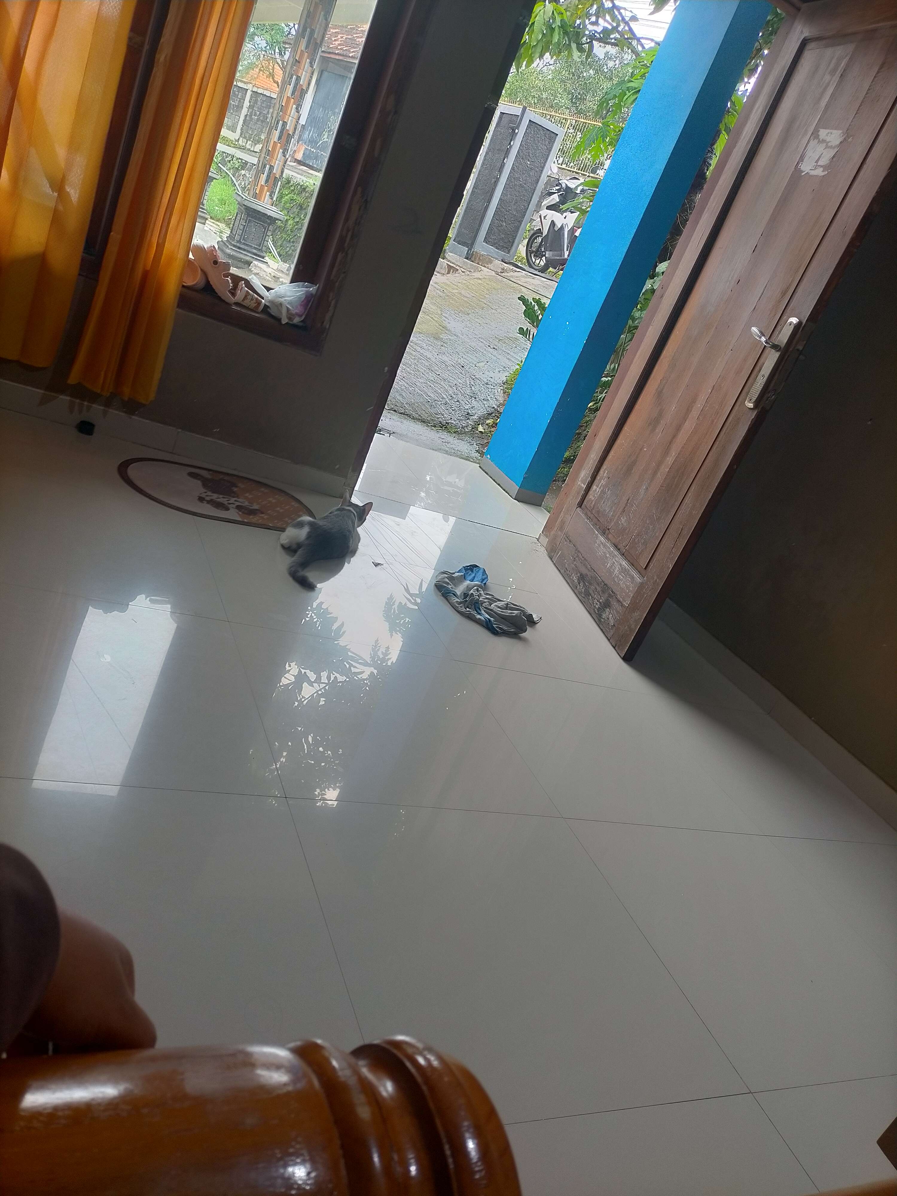 Herlinda Hafiz akmal