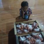 Putri Wahyuningsih Sri Wardoyo