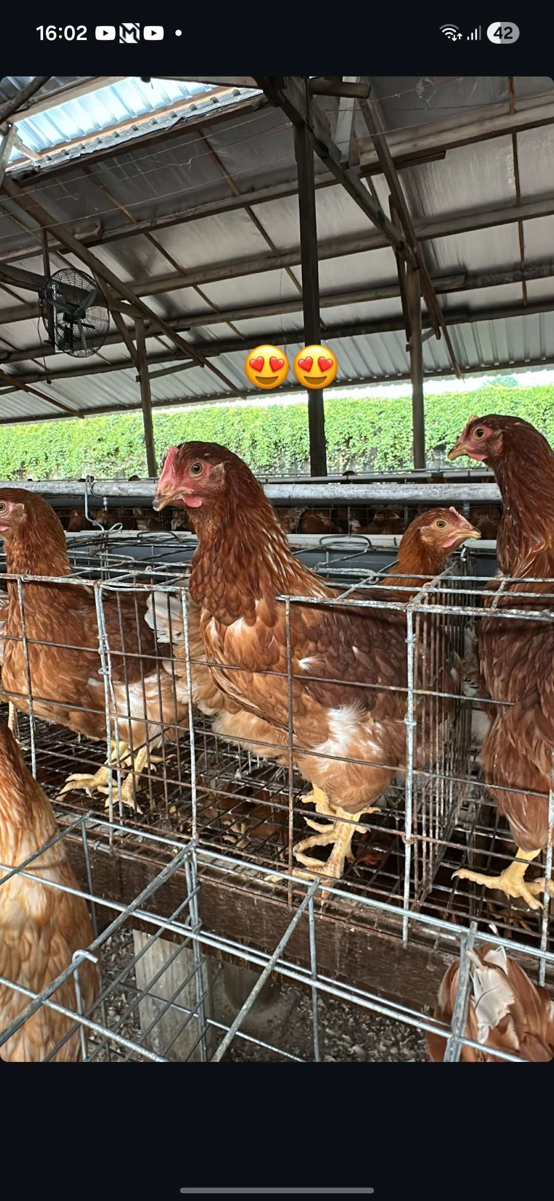 Anindya nova widyatama