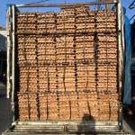 Linda martha Delensi