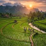 Muhammad Taufik Tri Hidayah