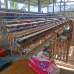 Pengagum Semesta Pengagum semesta