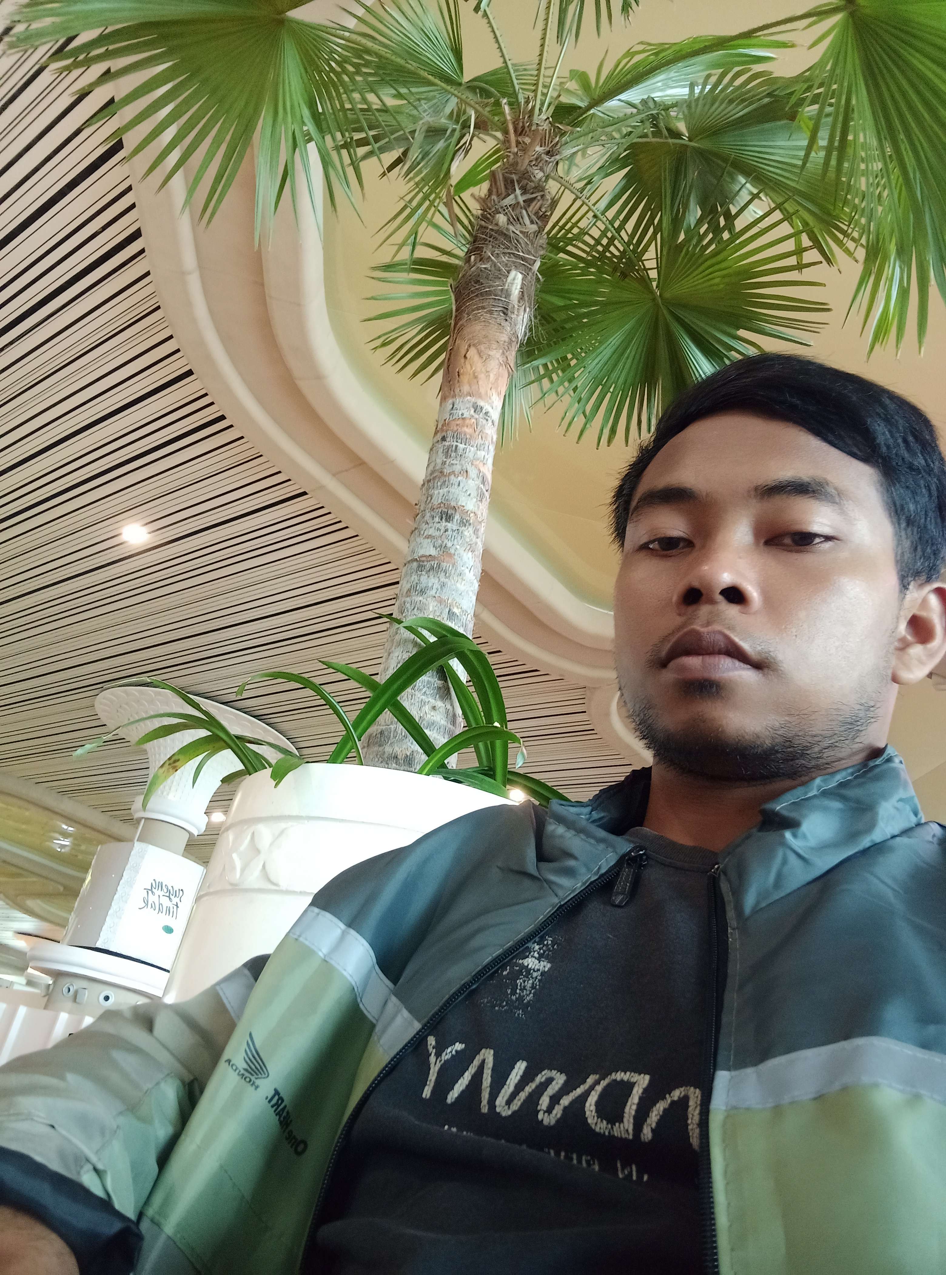 Arifin Cemara