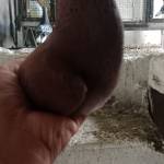 Defa Farm