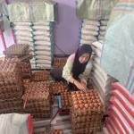 SDD_bareh