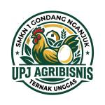 Agribisnis Ternak Unggas smeksago