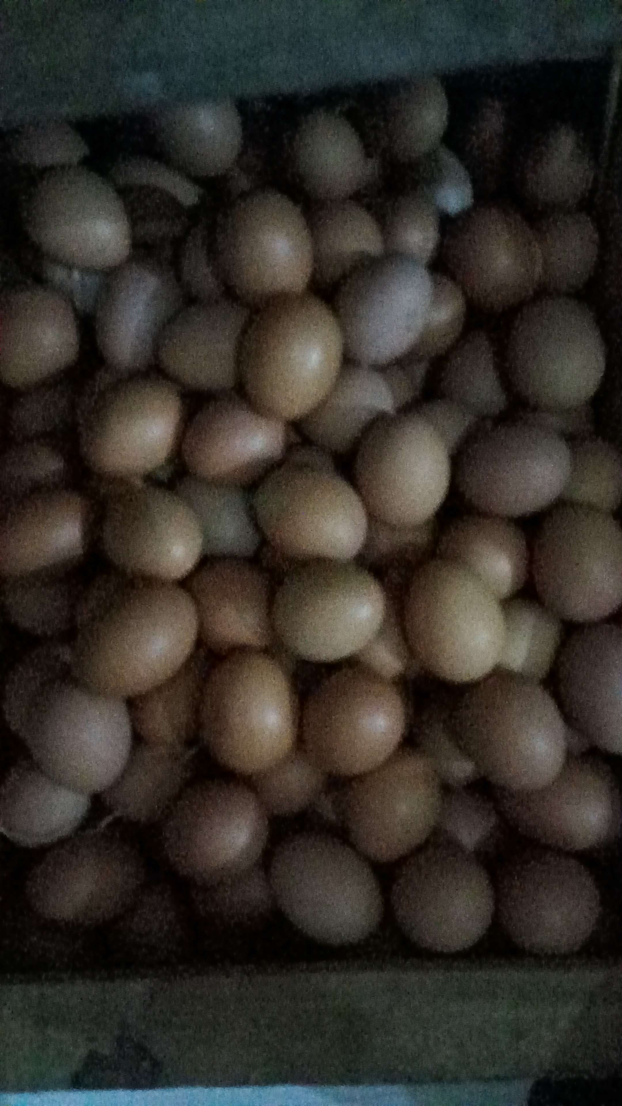 nnadhiffaa